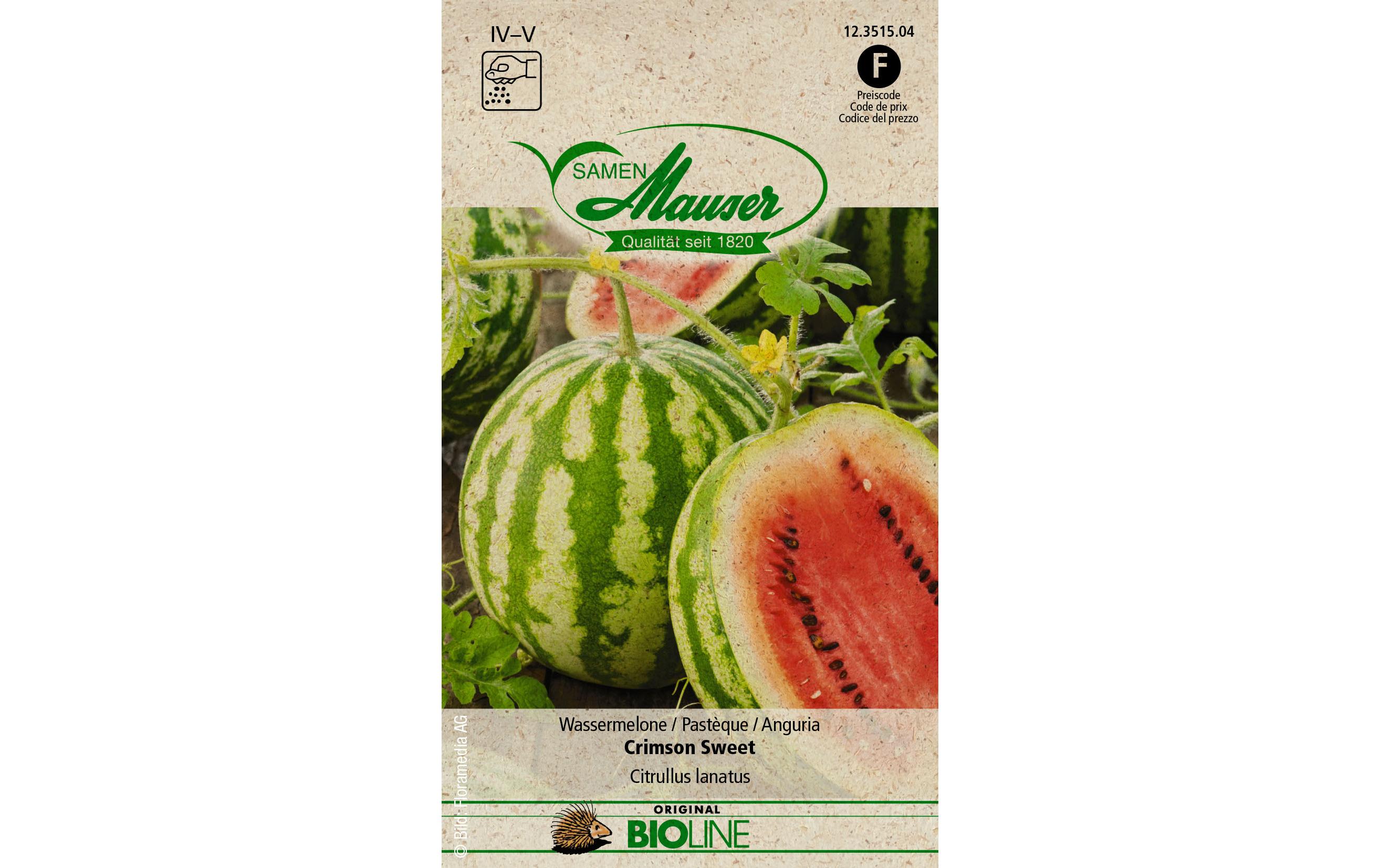 Samen BIO Wassermelone Crimson SweetGemüsesamen