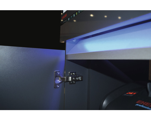 EHEIM incpiria 330 aquariumcombinatie met LED-verlichting en verlichte onderkast, grafiet