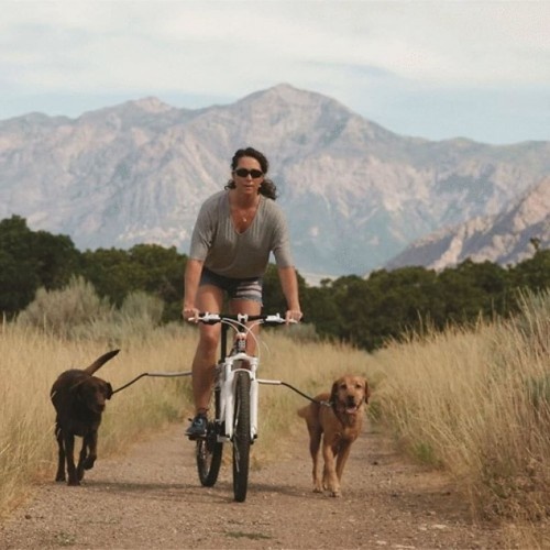 Barra universal para cães Cycleash para bicicletas, multicolorida