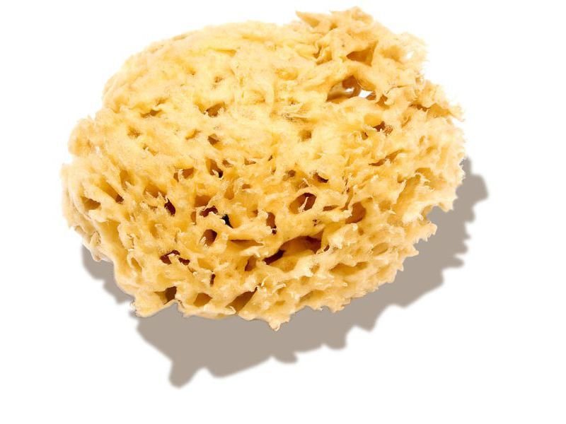 Naturschwamm