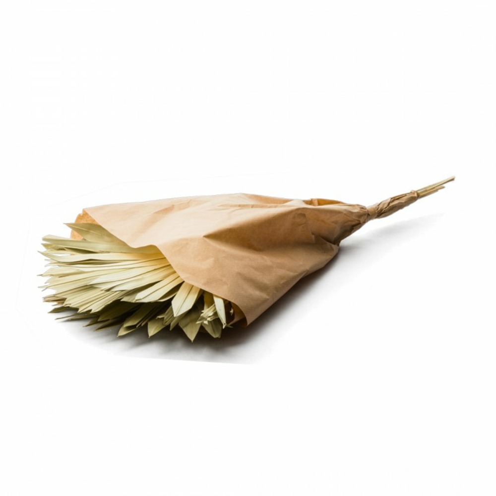 Botte de fleurs séchées palm sun naturel