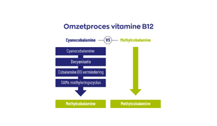 Vitakruid B12 Combi 10.000 Smelttabletten met Folaat 60TB