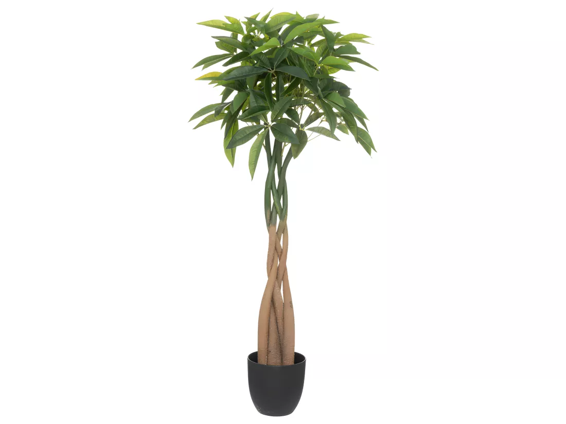 Plante artificielle Arbre Pachira en pot H 110 cm