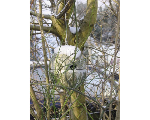 Nestkast SCHWEGLER winterkoninkje bol Ø 18,5 cm groen