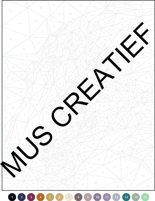Kleuren-Op-Nummer - 21 Puzzels - Creatief - Kleurcodes