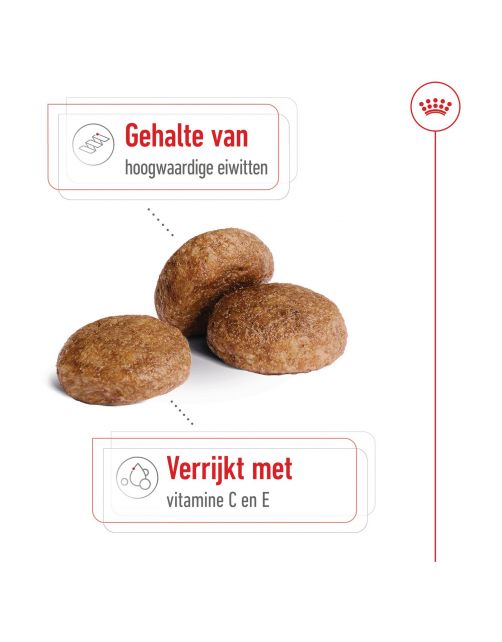Royal Canin Medium Adult 7+ - Hondenvoer