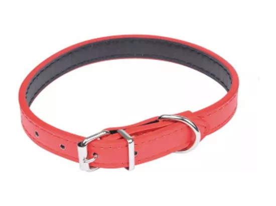 Collier pour Chien 