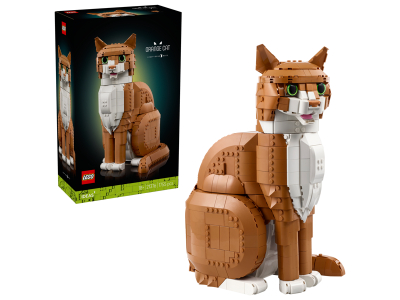 LEGO Oranje kat (21376)
