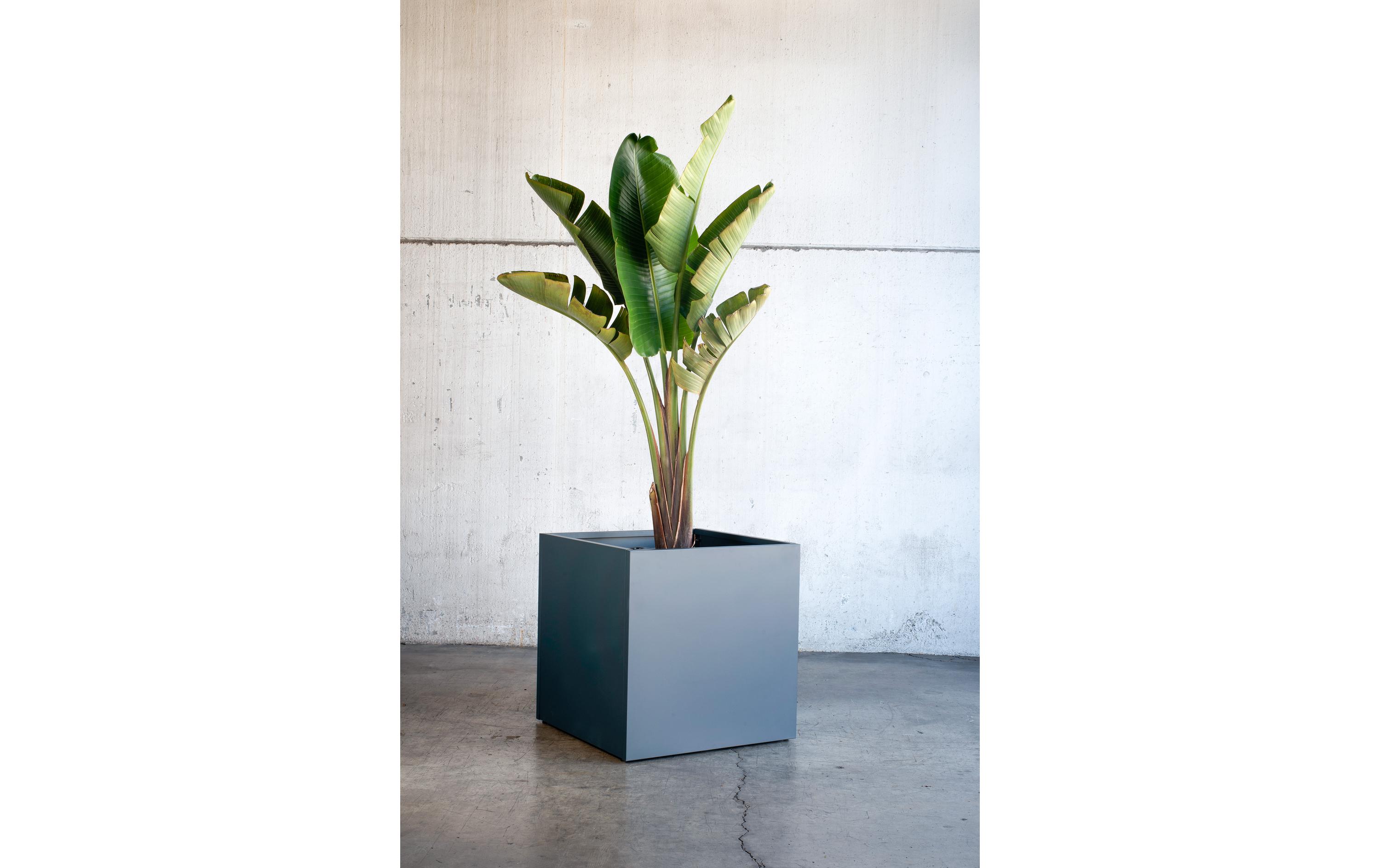 Pflanzentopf Metal Planter Cube, Anthrazit<br>Pflanzengefäss