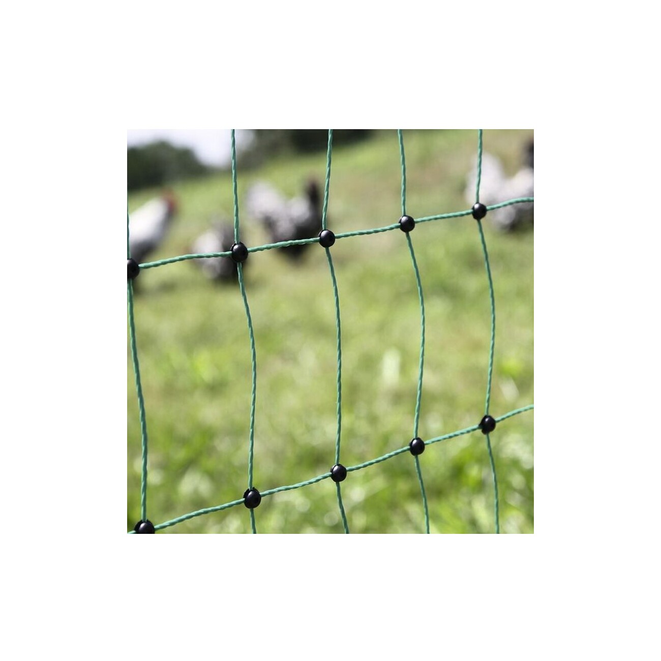 Kerbl Geflügelnetz 25m