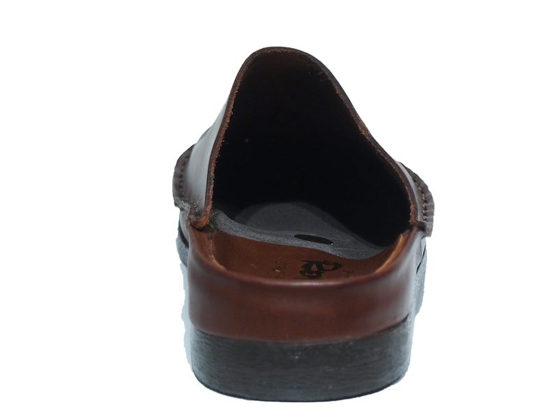 Rembrandt 0466 Bruin