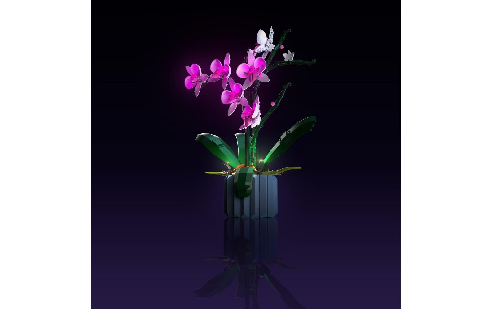 LED-Licht-Set für LEGO® Orchidee 10311Light-Kit