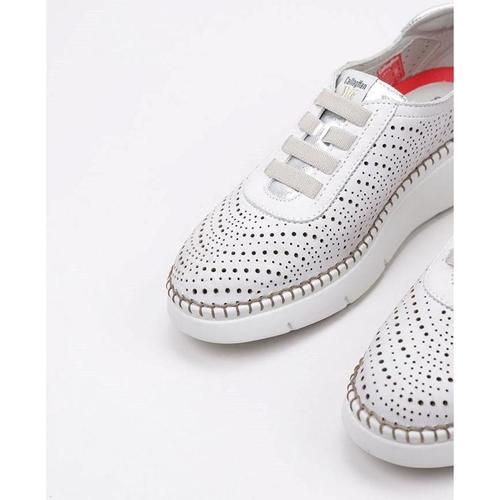 CallagHan - 53600 (42945) Plata