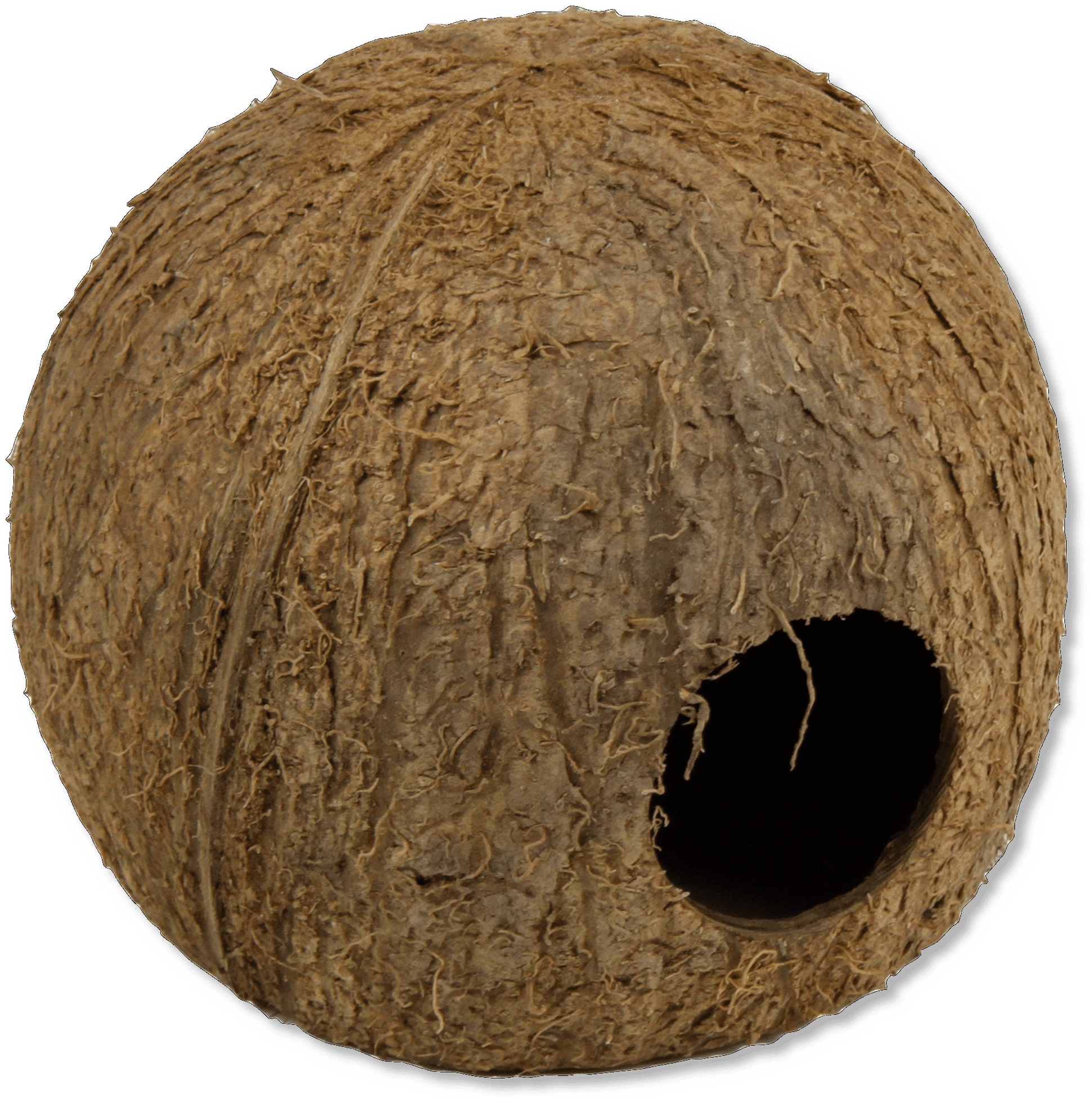 JBL Cocos Cava 3/4 Large