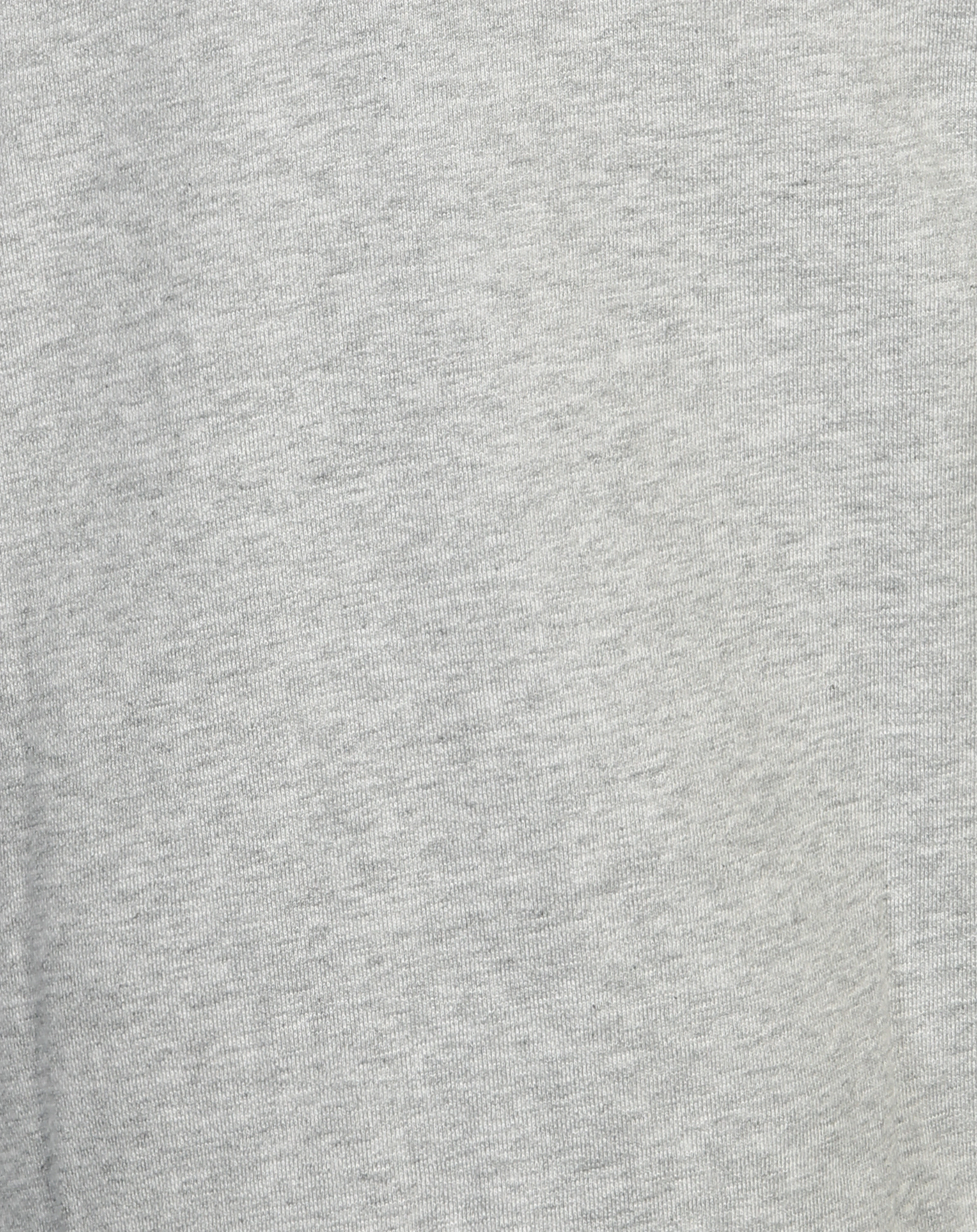 Sweatshirt VENTURA - DINO in grau