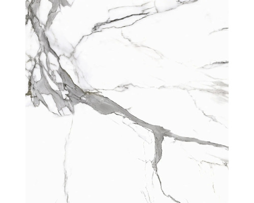 Porseleinen steengoed wand- en vloertegel Calacatta 119,7 x 119,7 x 0,8 cm wit mat gerectificeerd