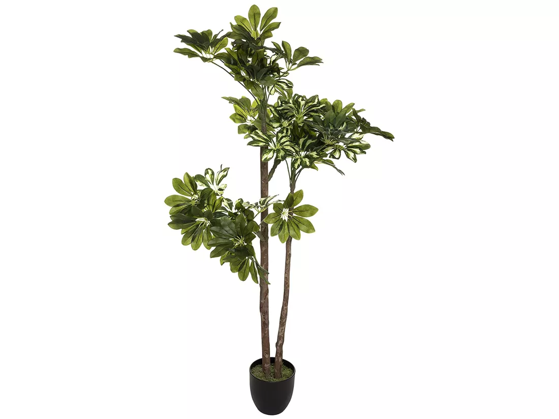 Plante artificielle Cheflera l.70 x d.65 x h130, verte