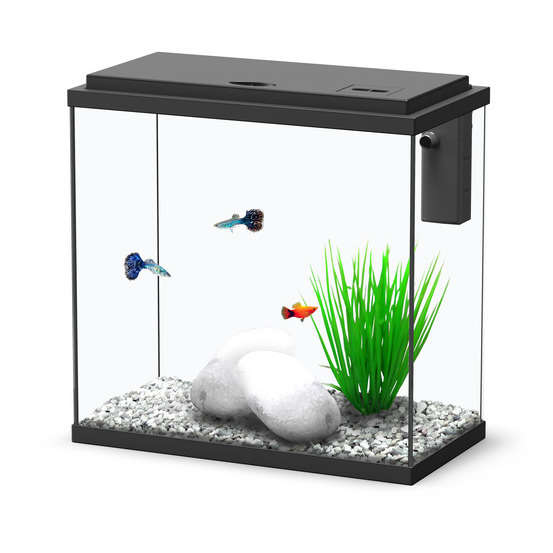 Aquarium Sarawak, noir - 18 litres