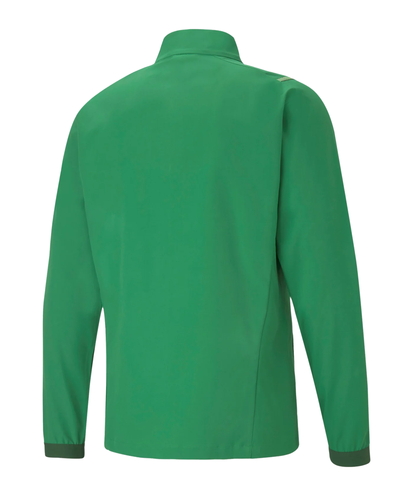 PUMA teamCUP Sideline Trainingsjacke Grün F05