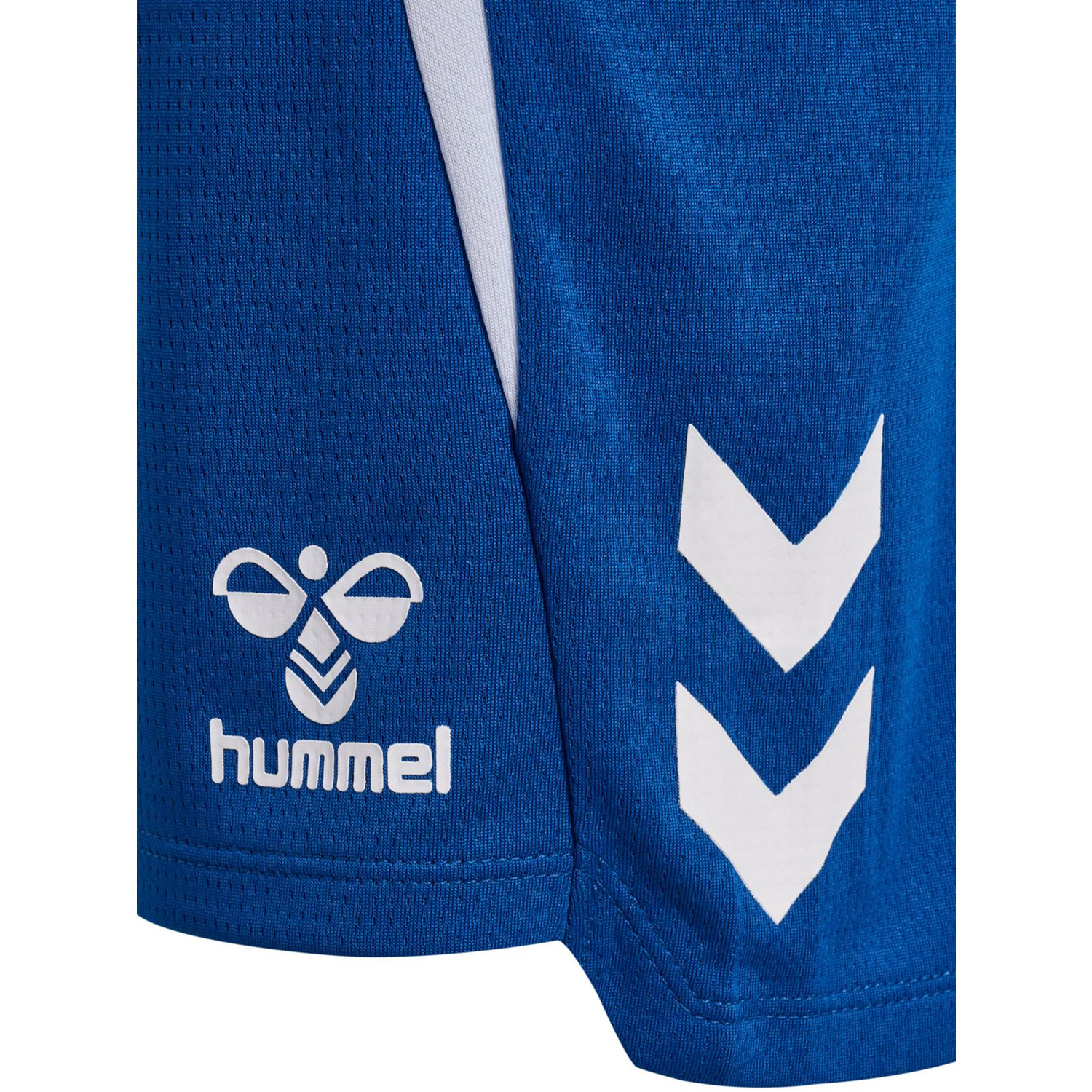 Hummel Lead 2.0 Shorts Kids