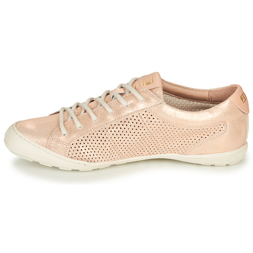 Palladium - GRACIEUSE ALX - Rose