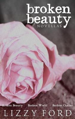 Broken Beauty Novellas (Hardback)