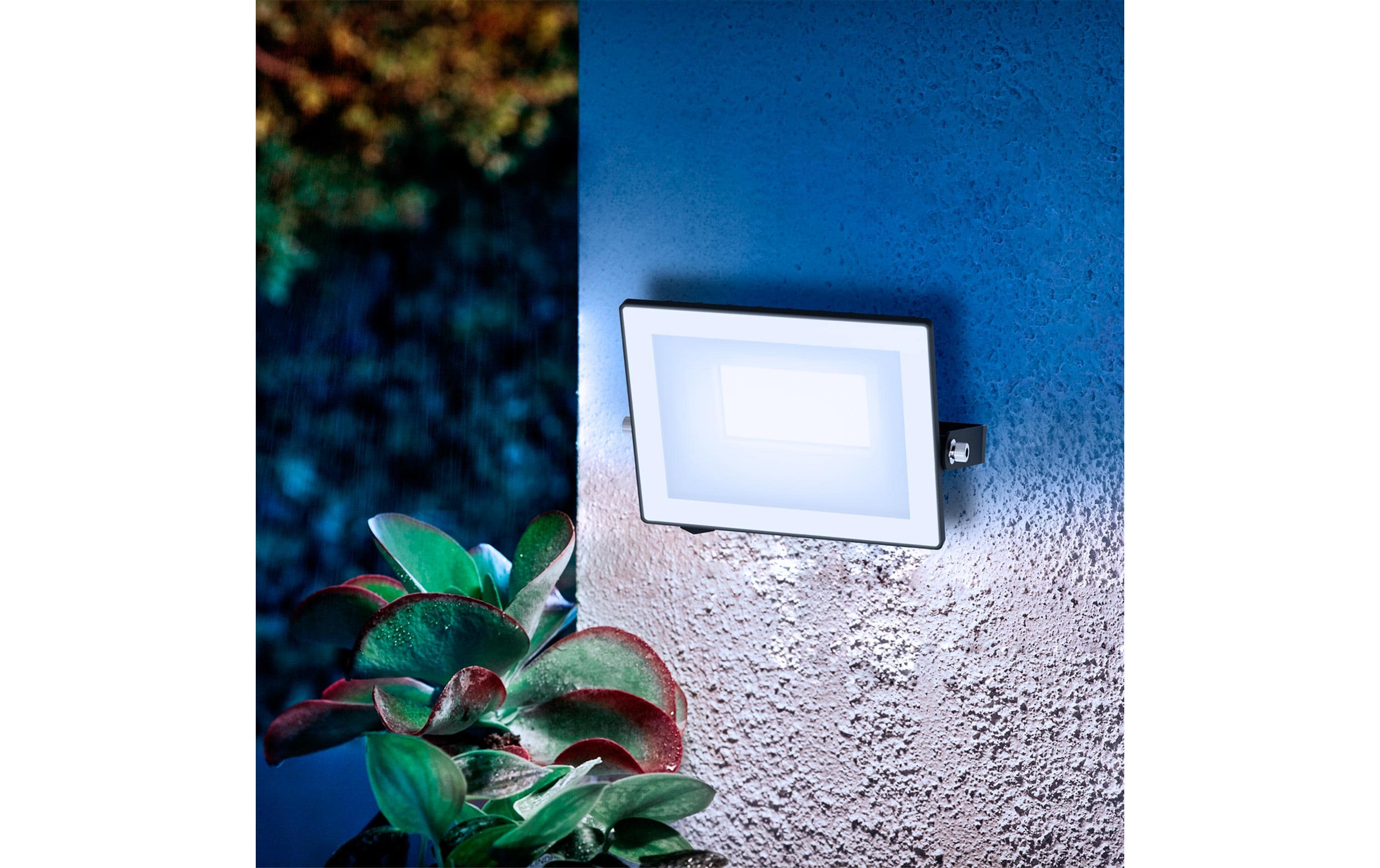 Lois Flutlicht 20W 5000K IP65 schwarz 20 WPhilips 8720169365087 Aussenbeleuchtung Wandbeleuchtung für den Aussenbereich Nicht austauschbare(s) Leuchtmittel LED F