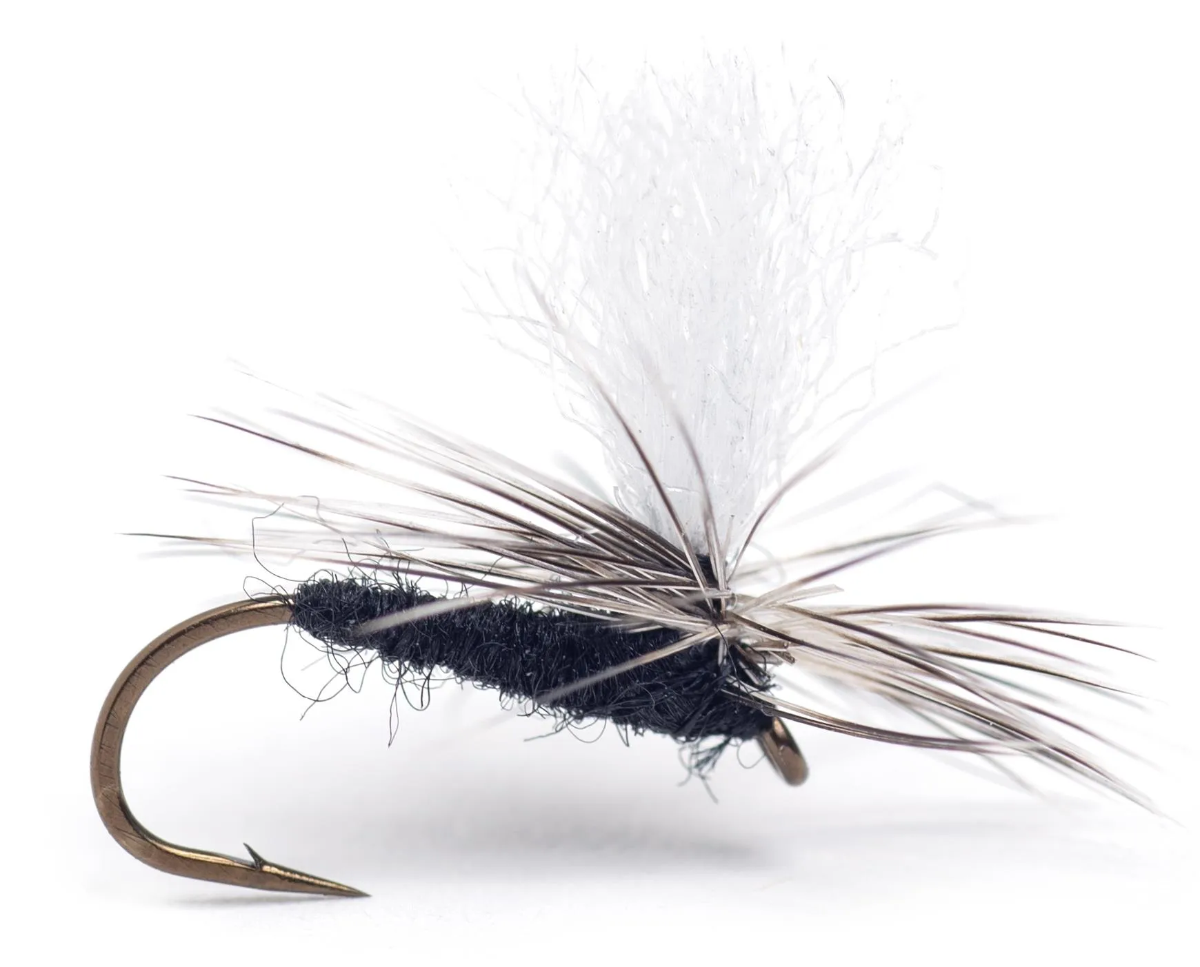 Guideline Guideline Rena Midge