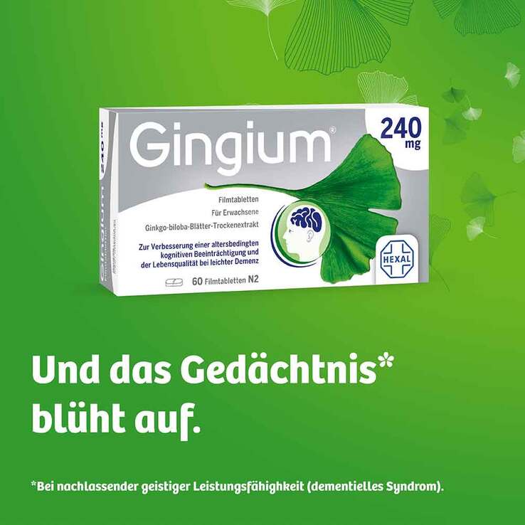 Gingium 240 mg Filmtabletten, 120 St
