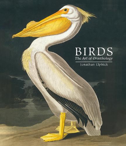 Birds: The Art of Ornithology (Pocket edition) (Hardback)