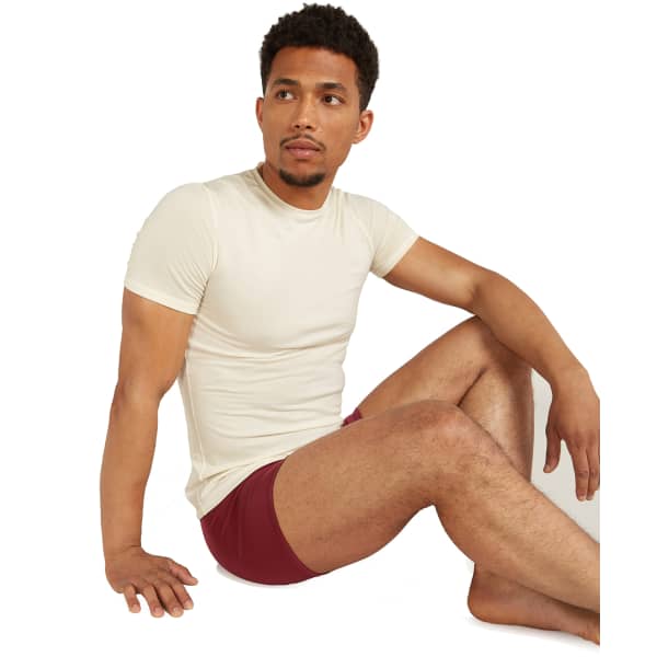Boxer ICEBREAKER ANATOMICA BOXERS PORT