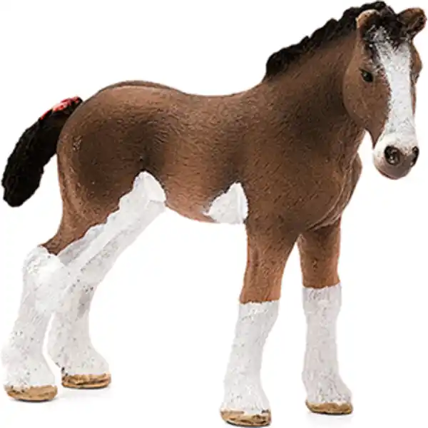 13810 Farm Wold Clydesdale Fohlen