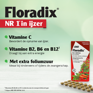 Salus Floradix IJzer Tabletten 84TB