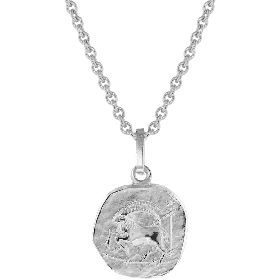 trendor Kinder Sternzeichen Steinbock Weißgold 333 Anhänger + Kette silver