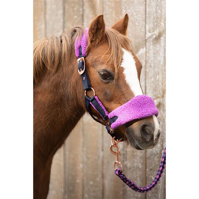 Halsterset Harry's Horse LouLou Royce Donkerblauw-paars