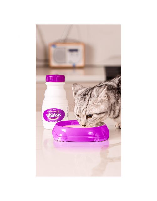 Whiskas Catmilk 3-Pack - Kattensnack - Melk 3x200 ml