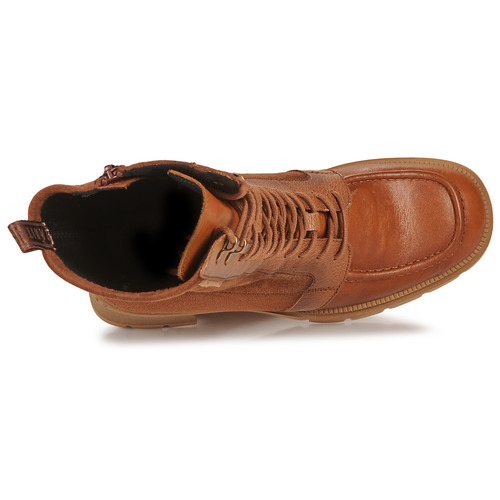 Hispanitas - EVEREST Camel