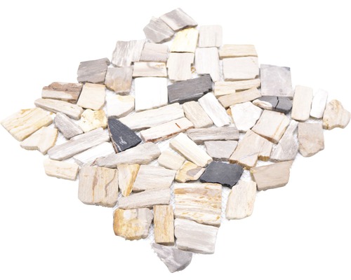 Natuursteen mozaïek gebroken/Ciot mix hout steen fossiel