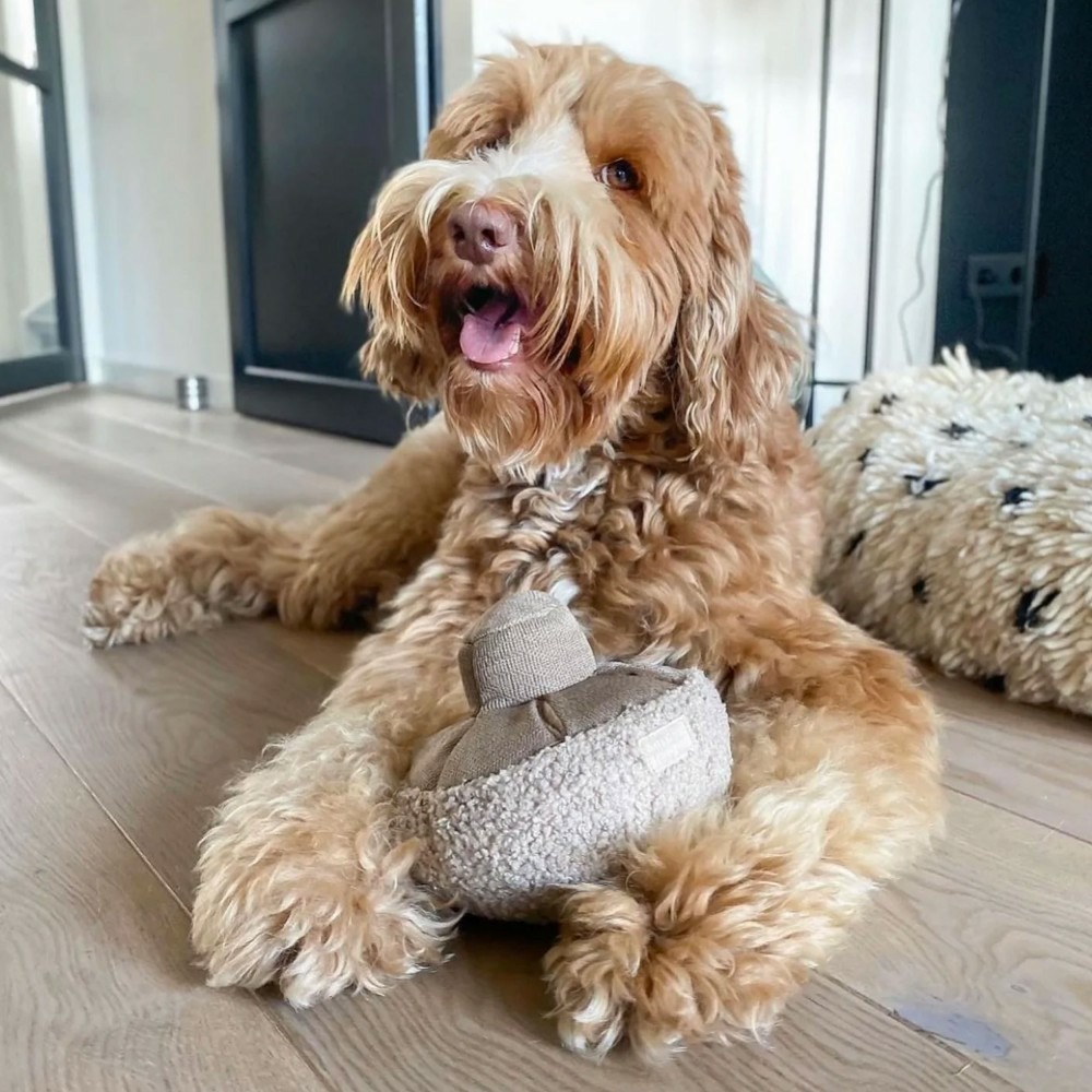 Guu - jouet d'occupation pour chien, forme champignon, 15x15x12cm