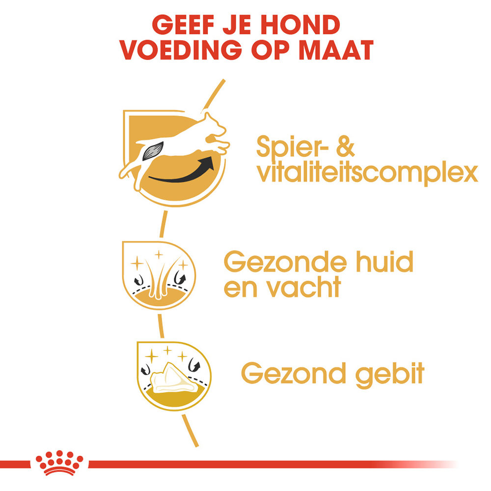Royal Canin Jack Russell Terrier Adult - Hondenvoer