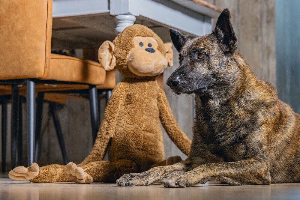 Beeztees Vik Aap Knuffel - Hondenspeelgoed - bruin - 20x30x80 cm - XL