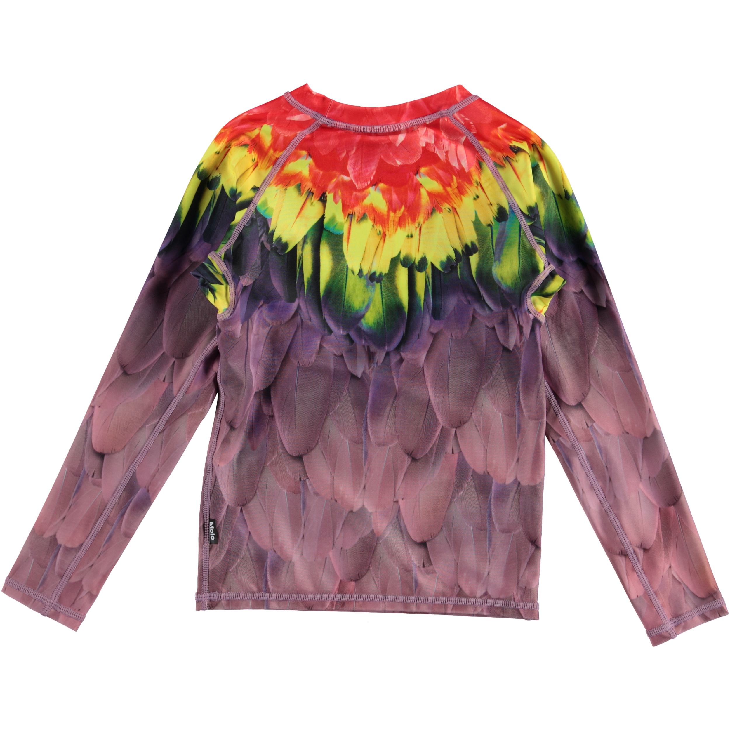 Neptune LS - Amazon Parrots