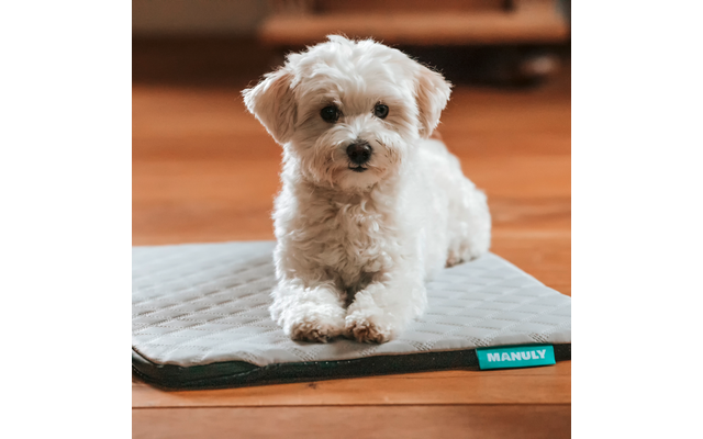 Manuly Hundematte selbstaufblasende Hundedecke