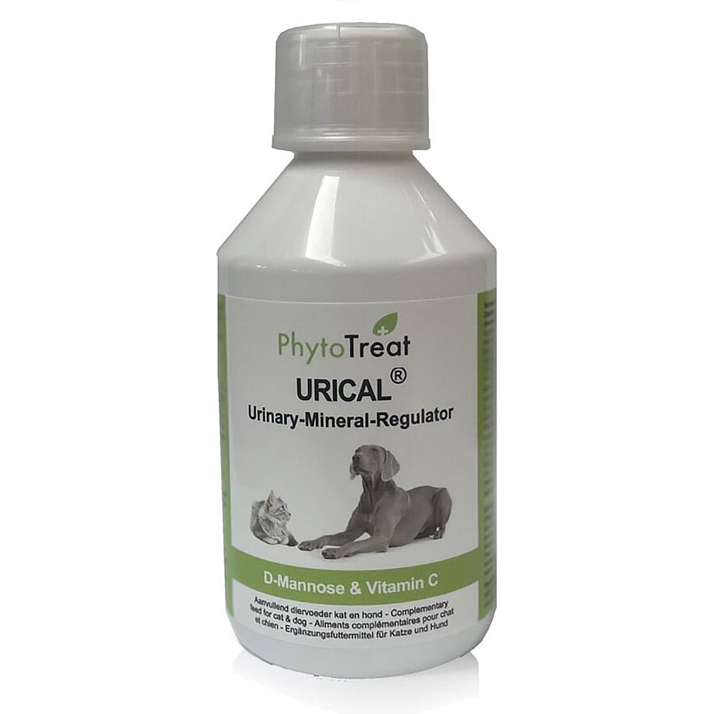 Phytotreat Urical Blaas Urinewegen Hond Kat 250 ml | 13694