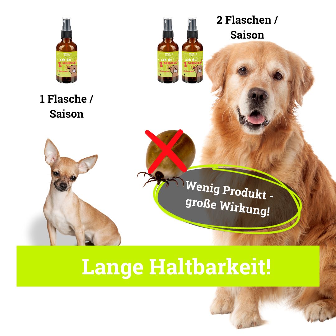 BeG Buddy Zeckenmittel für Hund & Katze auf pflanzlicher Basis - Zecken