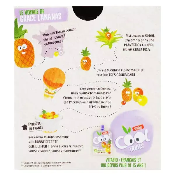 Frutas Secas Vitabio Cool Fruits Maçã Manga Abacaxi Acerola Orgânicas 4 x 90g