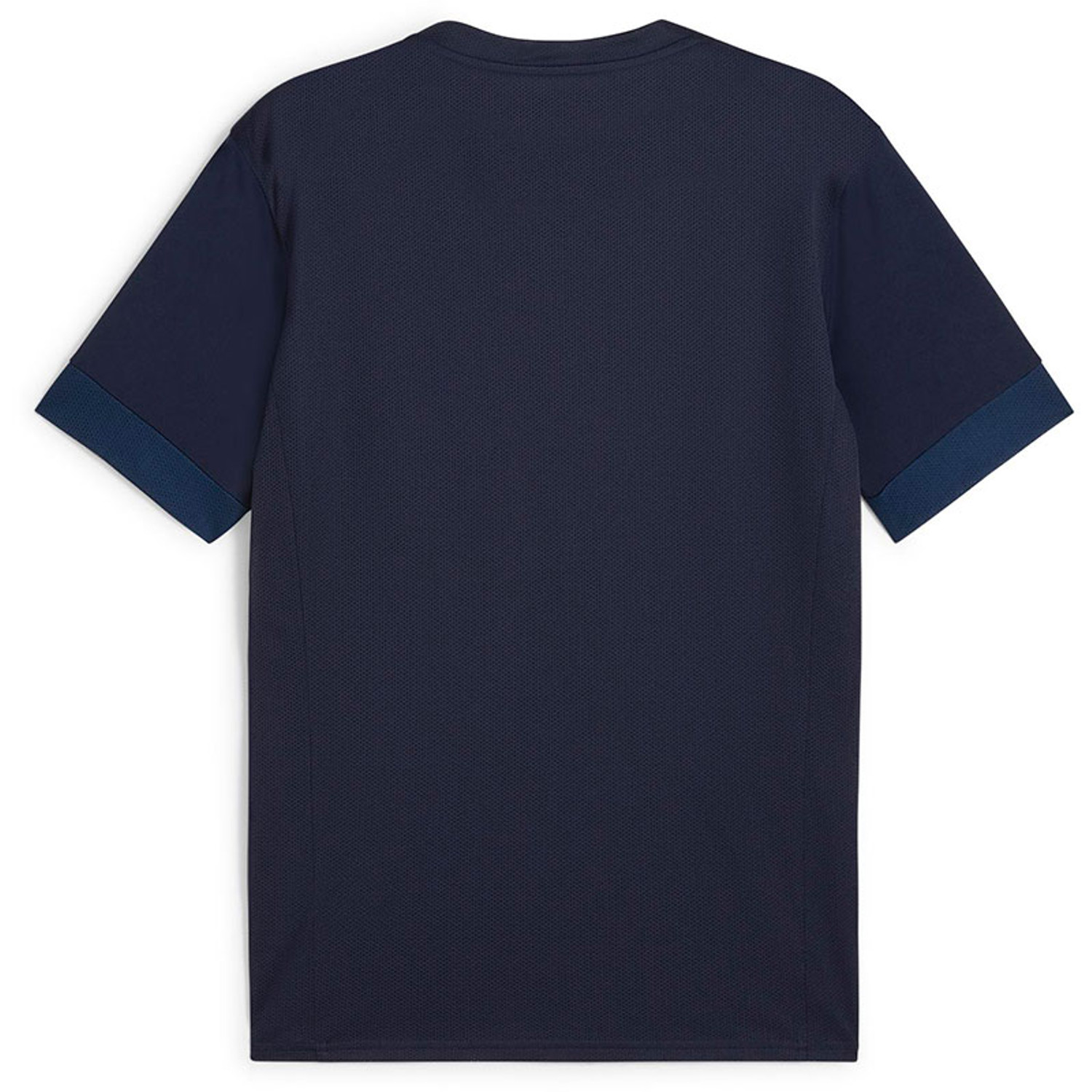 Puma GOAL Trainingsset
