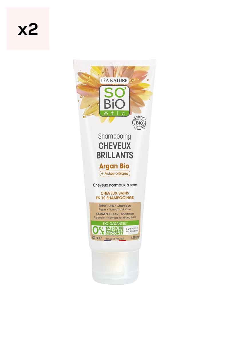 Shampoings à l'huile d'argan bio - Cheveux normaux à secs - 2 x 250 ml