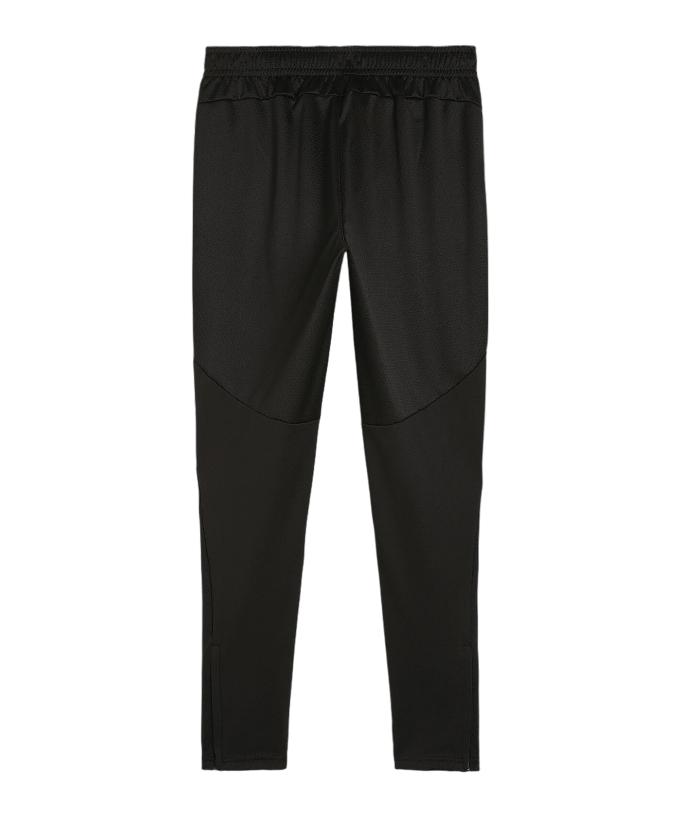 PUMA teamFINAL Trainingshose Schwarz F03
