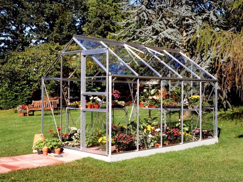 Halls Greenhouses Tuinkas Popular Blank